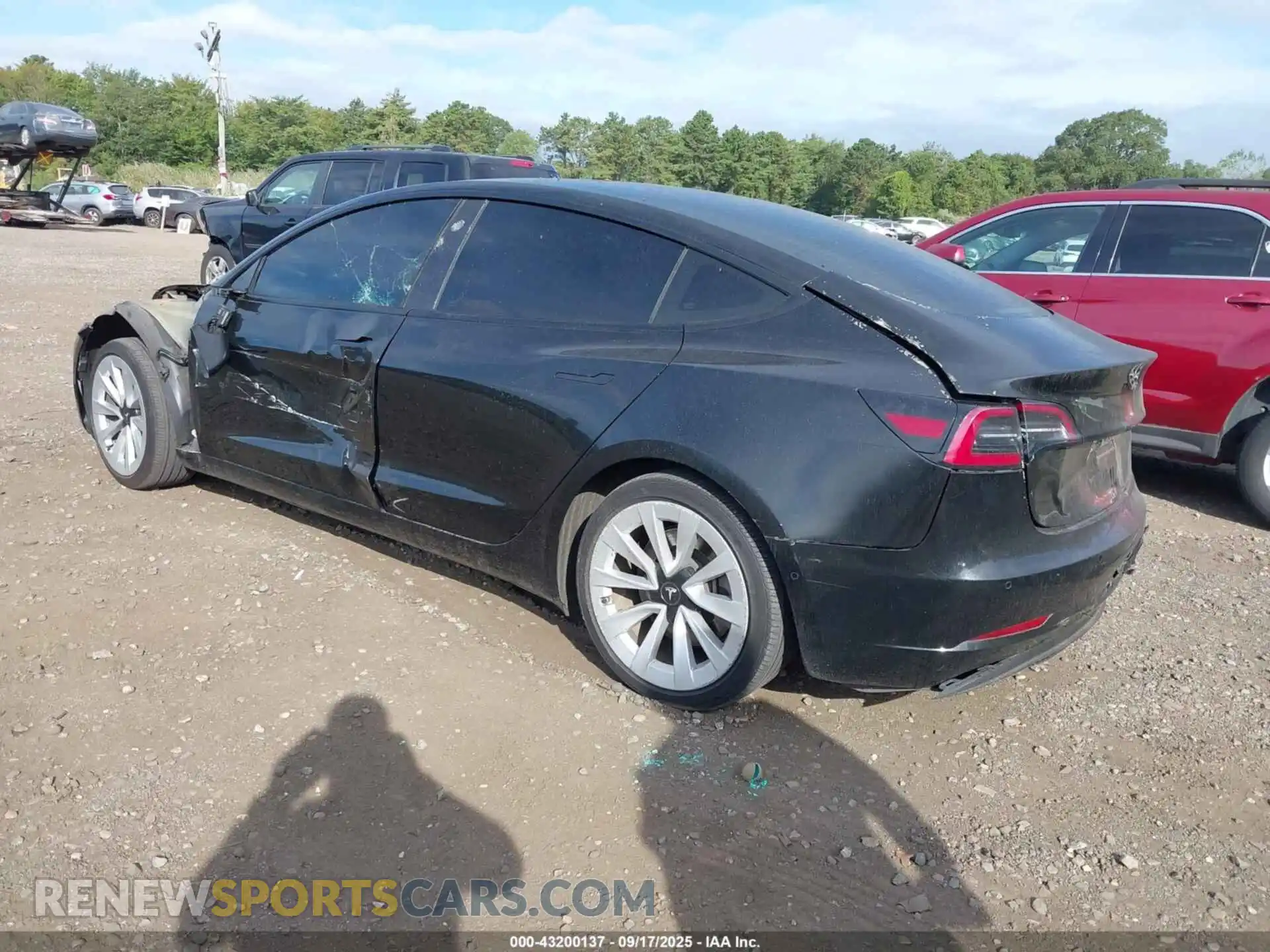 3 Photograph of a damaged car 5YJ3E1EA8MF990702 TESLA MODEL 3 2021