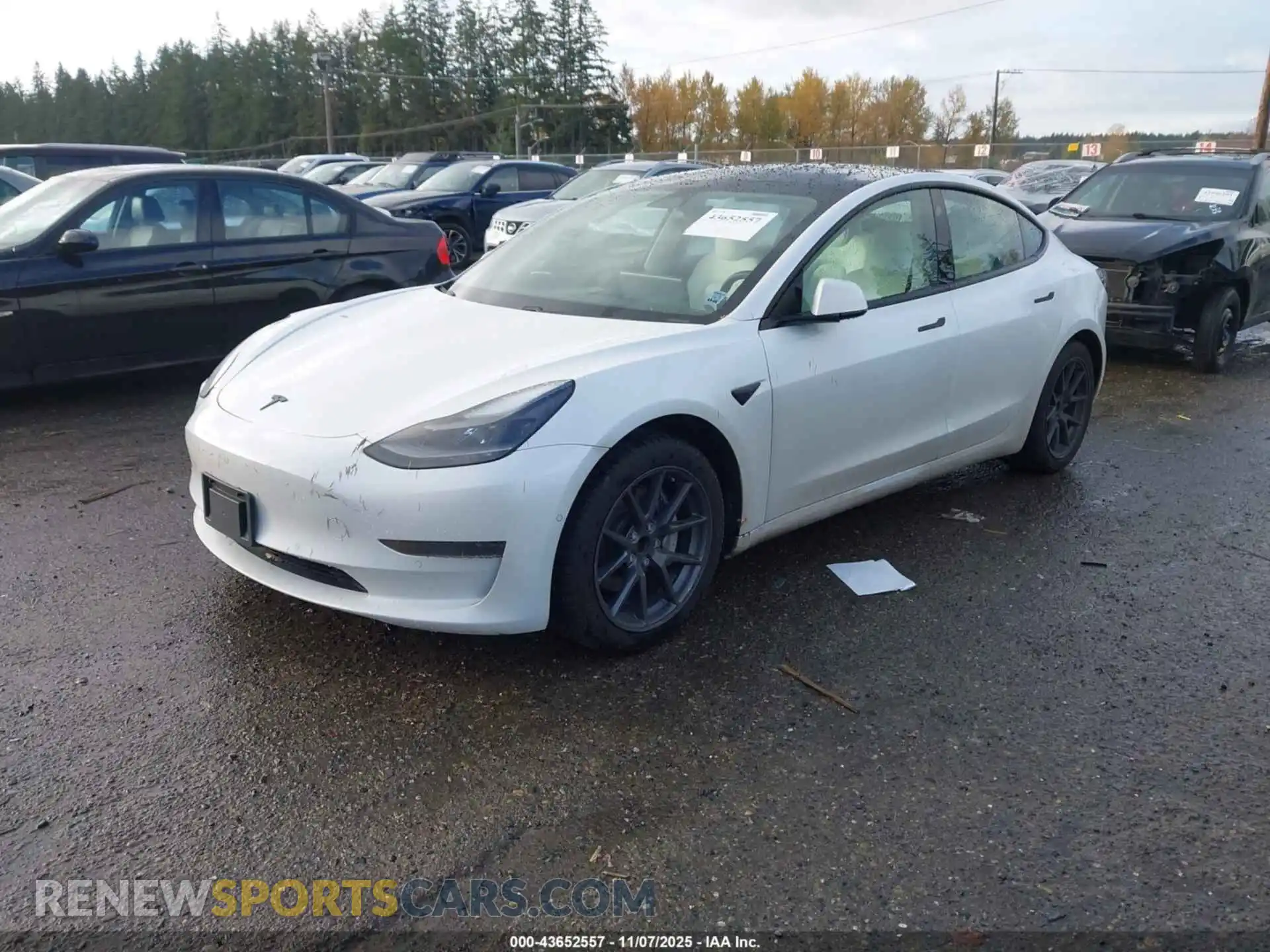 2 Photograph of a damaged car 5YJ3E1EA9MF064583 TESLA MODEL 3 2021