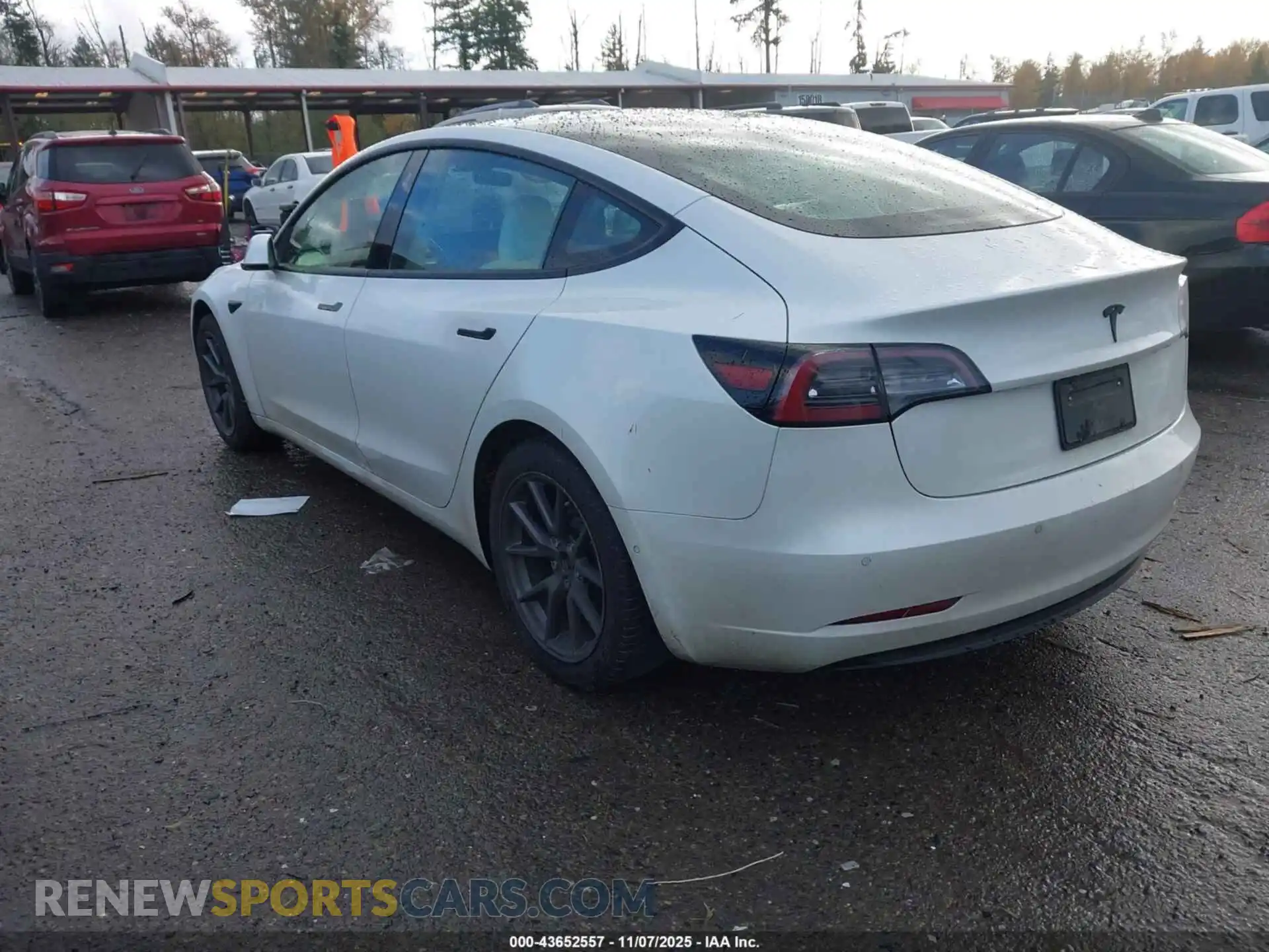 3 Photograph of a damaged car 5YJ3E1EA9MF064583 TESLA MODEL 3 2021