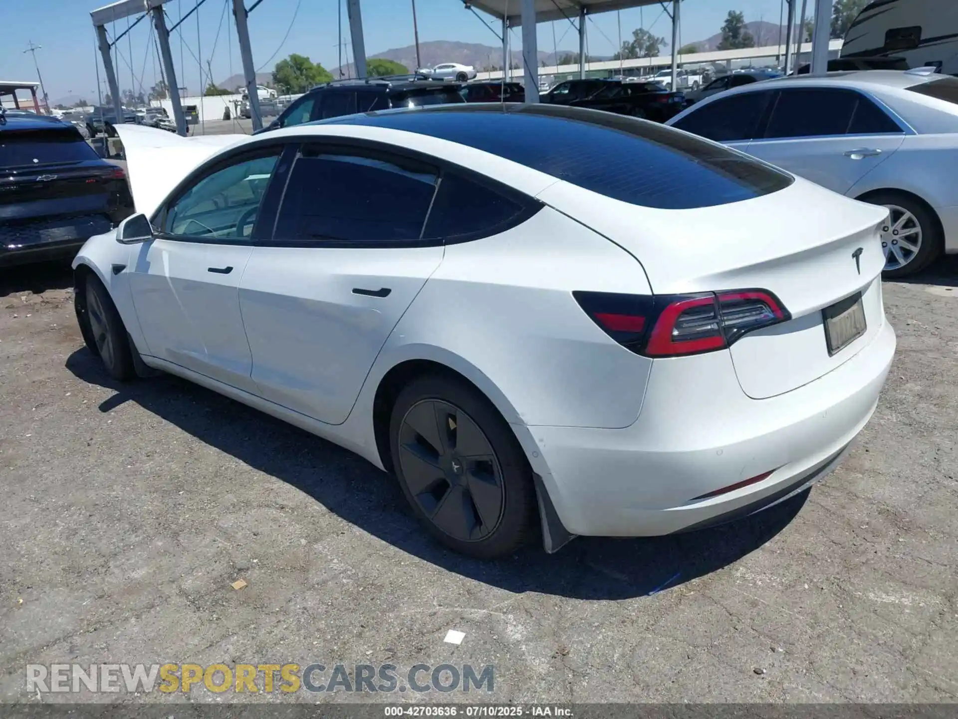 3 Photograph of a damaged car 5YJ3E1EAXMF861442 TESLA MODEL 3 2021