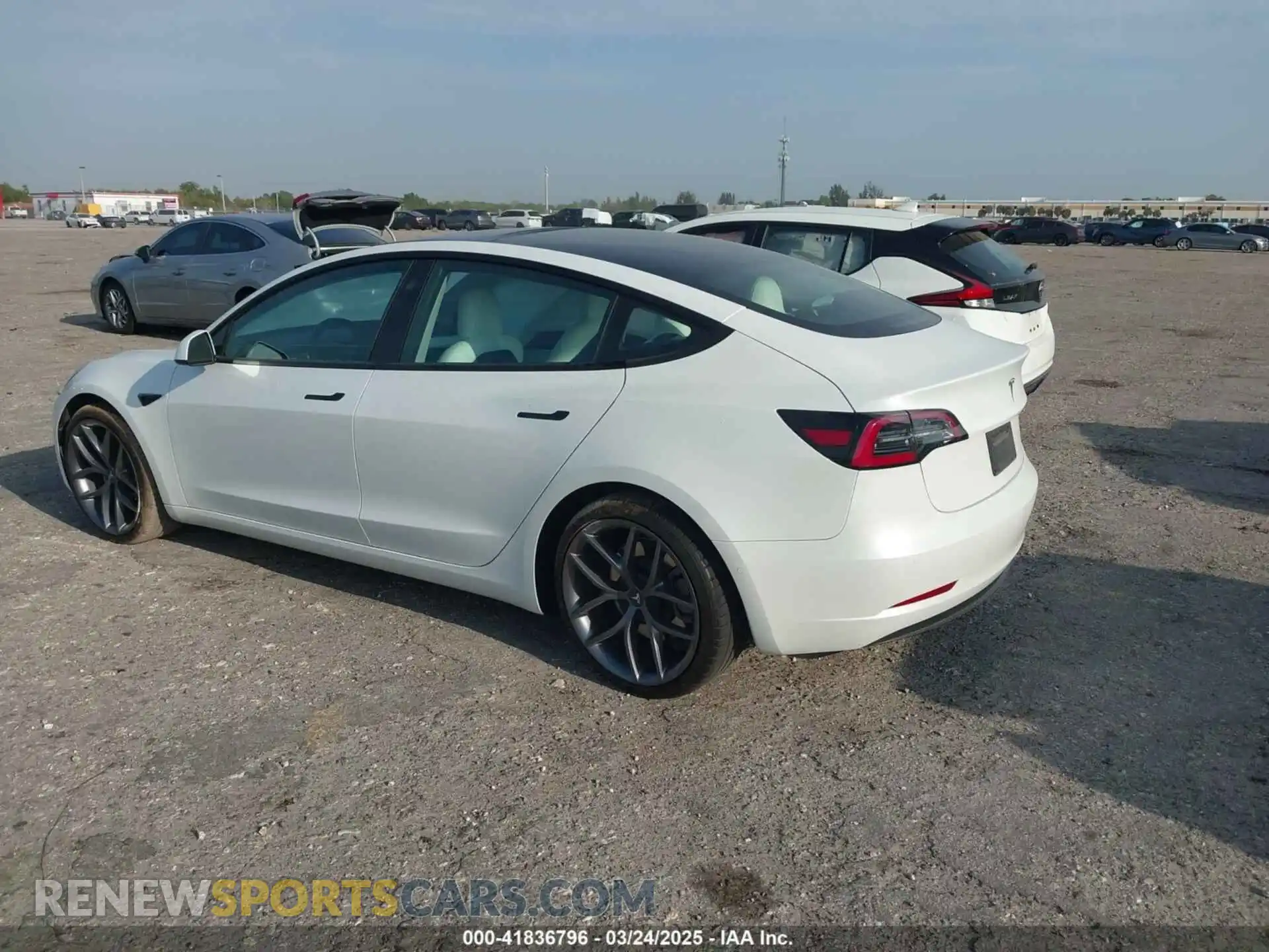 3 Photograph of a damaged car 5YJ3E1EAXMF908601 TESLA MODEL 3 2021