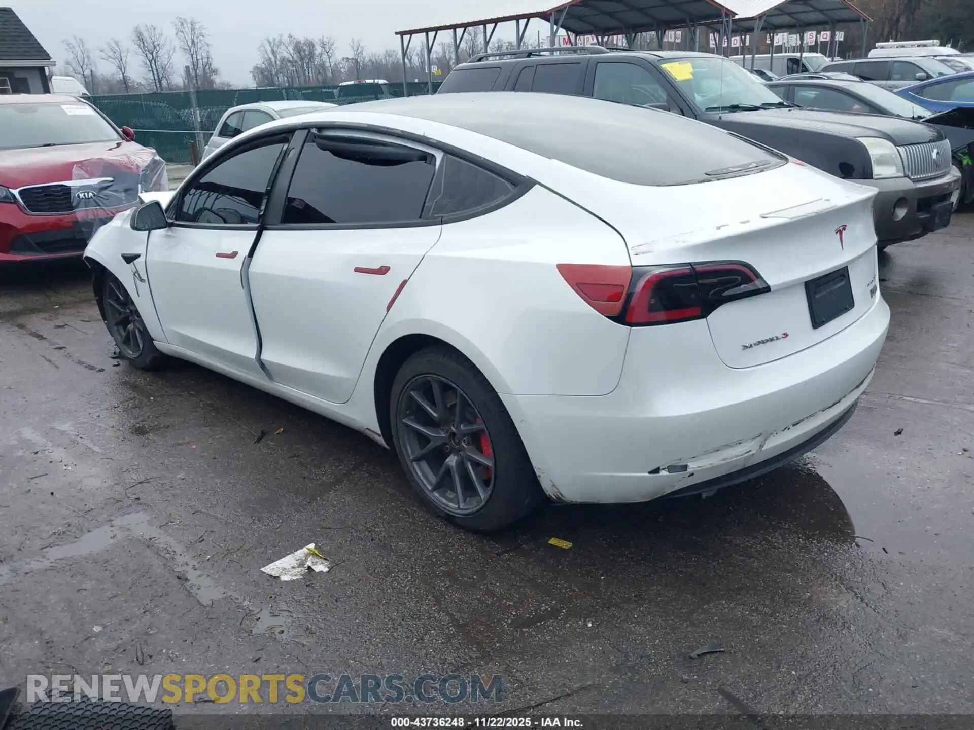 3 Photograph of a damaged car 5YJ3E1EB2MF981504 TESLA MODEL 3 2021