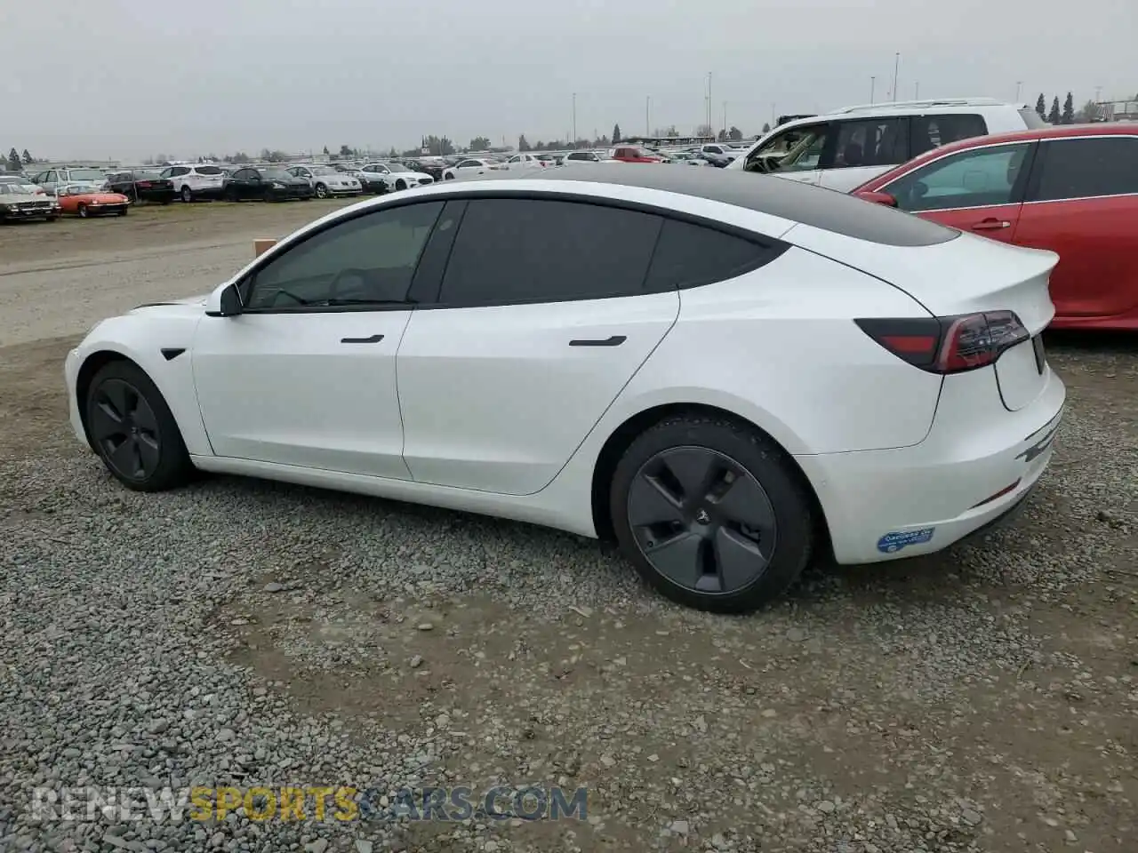 2 Photograph of a damaged car 5YJ3E1EB4MF004266 TESLA MODEL 3 2021