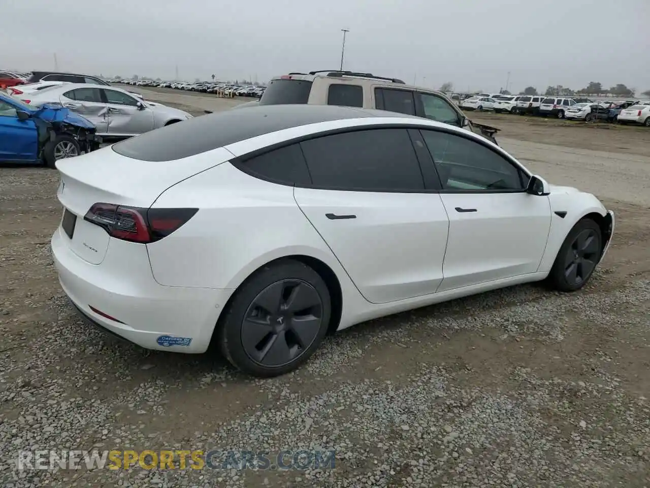 3 Photograph of a damaged car 5YJ3E1EB4MF004266 TESLA MODEL 3 2021