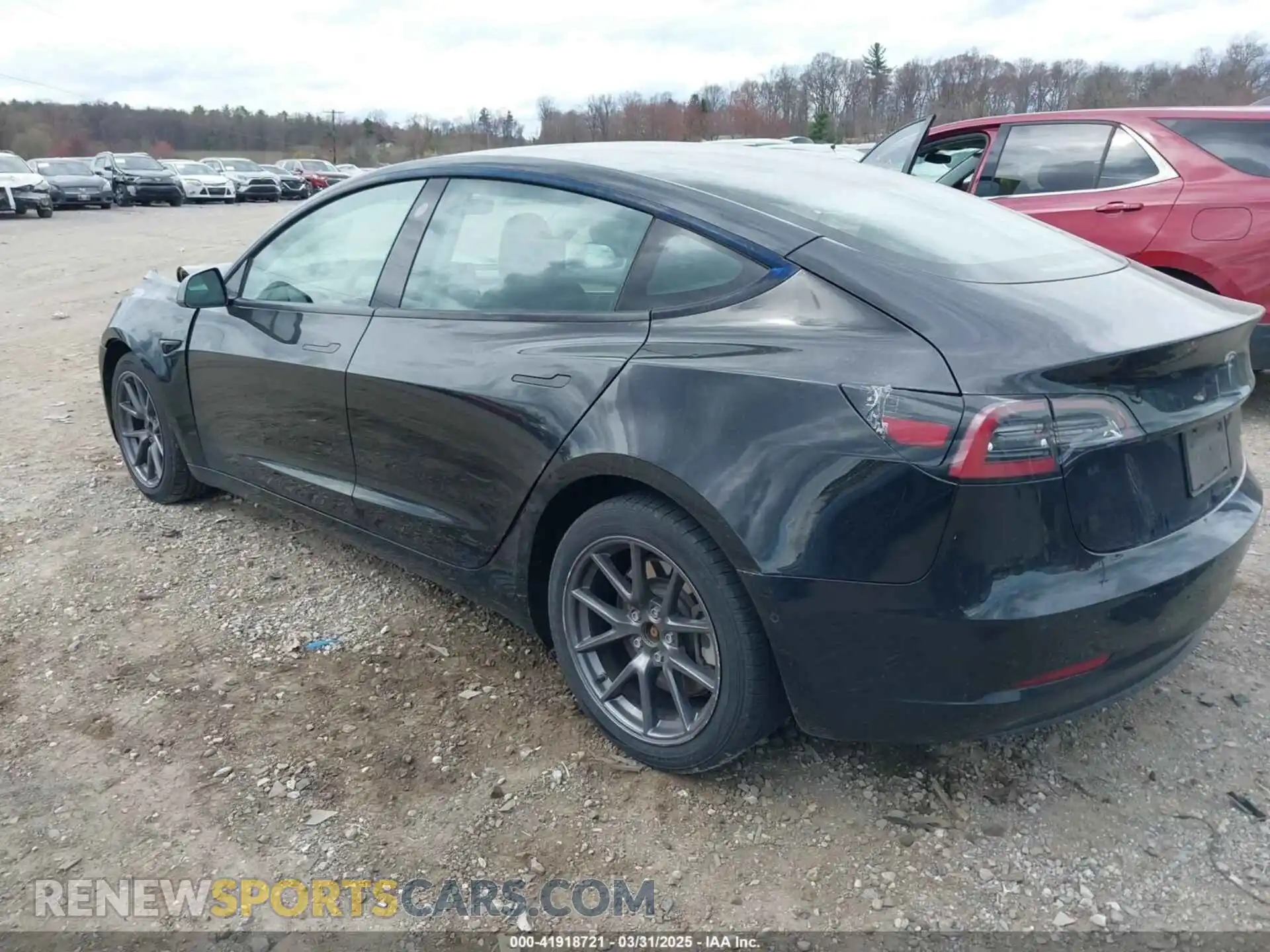 3 fotografías del automóvil dañado 5YJ3E1EB4MF012822 TESLA MODEL 3 2021