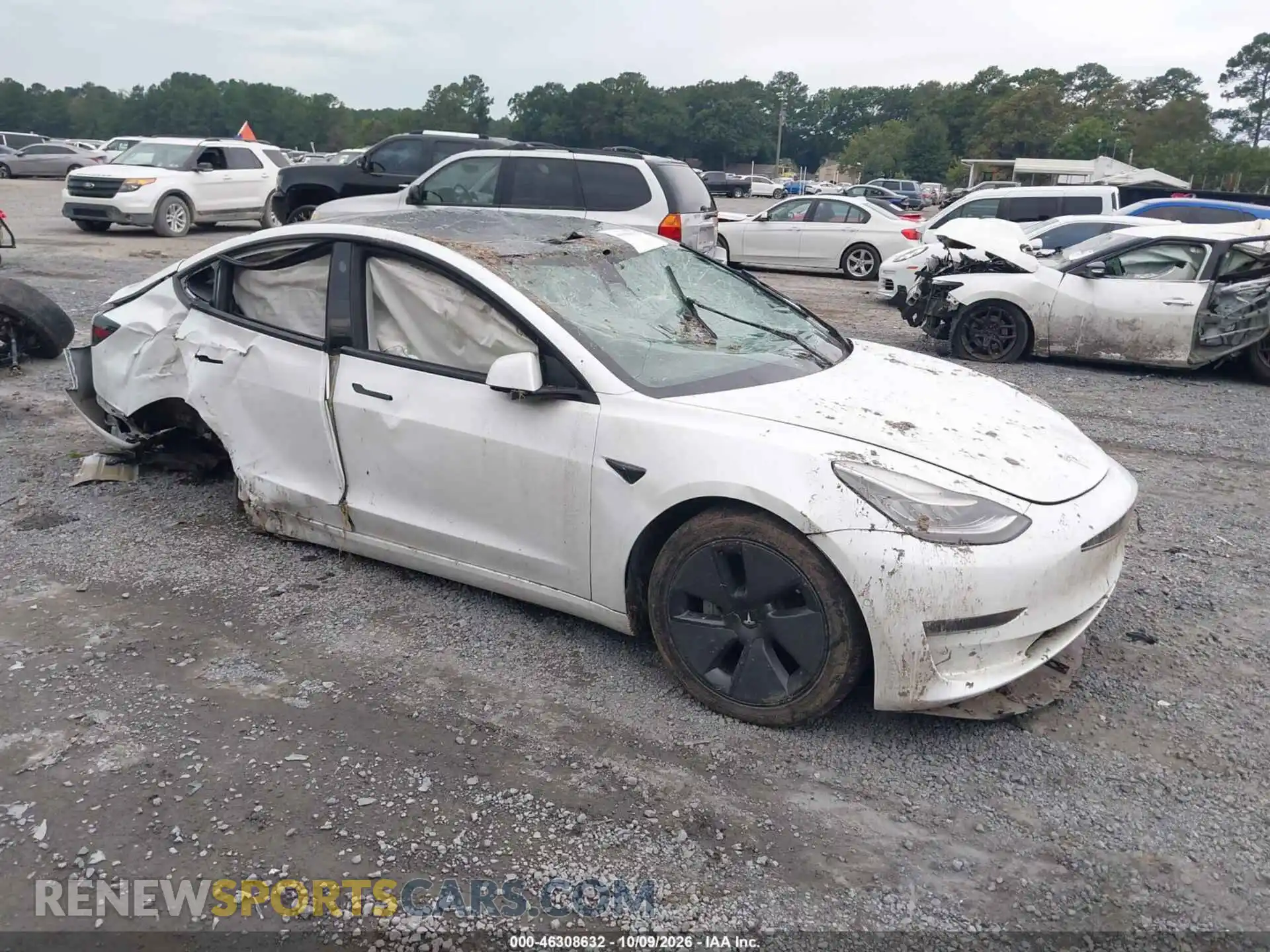 1 Фотография поврежденного автомобиля 5YJ3E1EB5MF847974 TESLA MODEL 3 2021