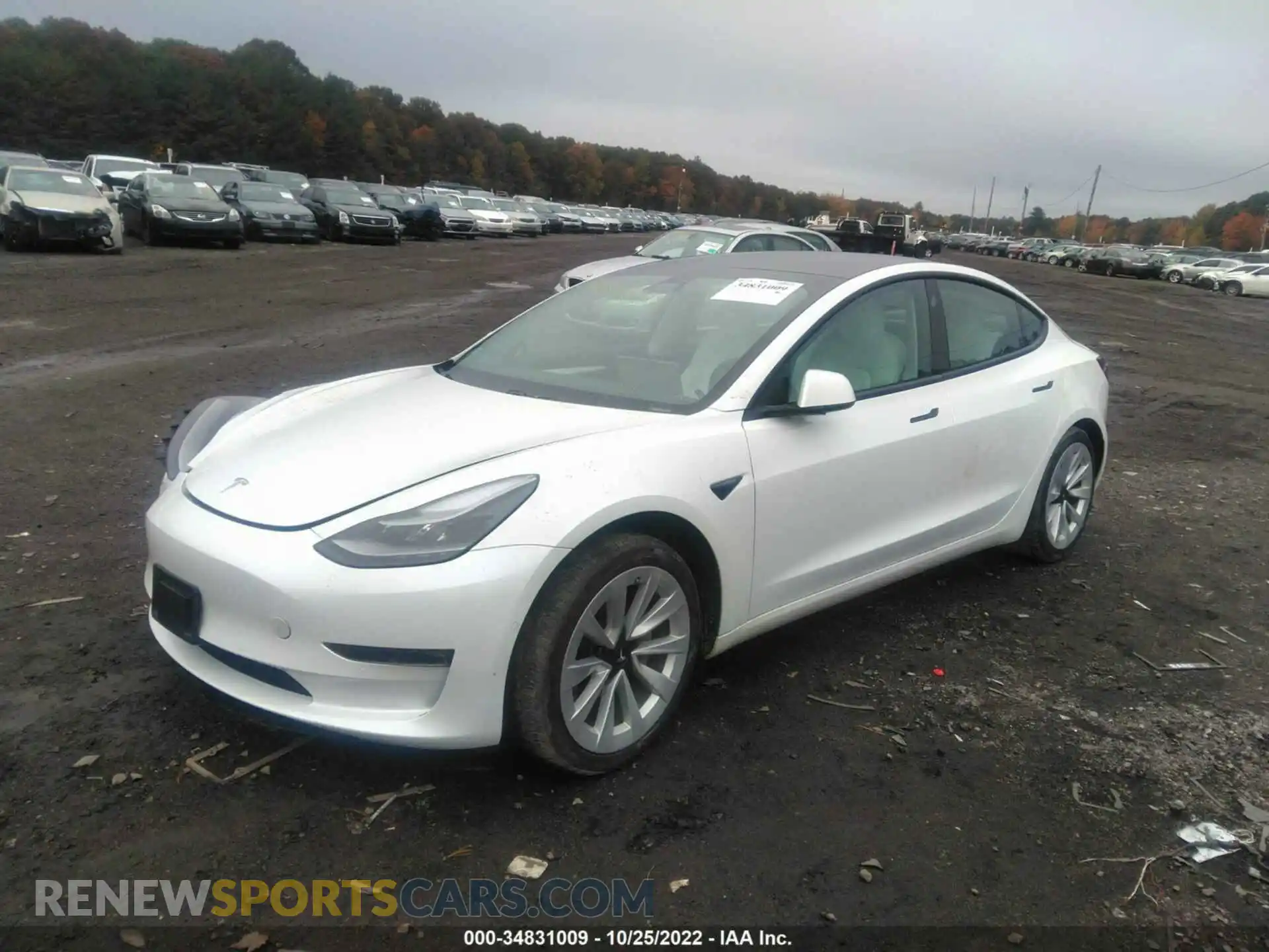 2 Photograph of a damaged car 5YJ3E1EB5MF980847 TESLA MODEL 3 2021