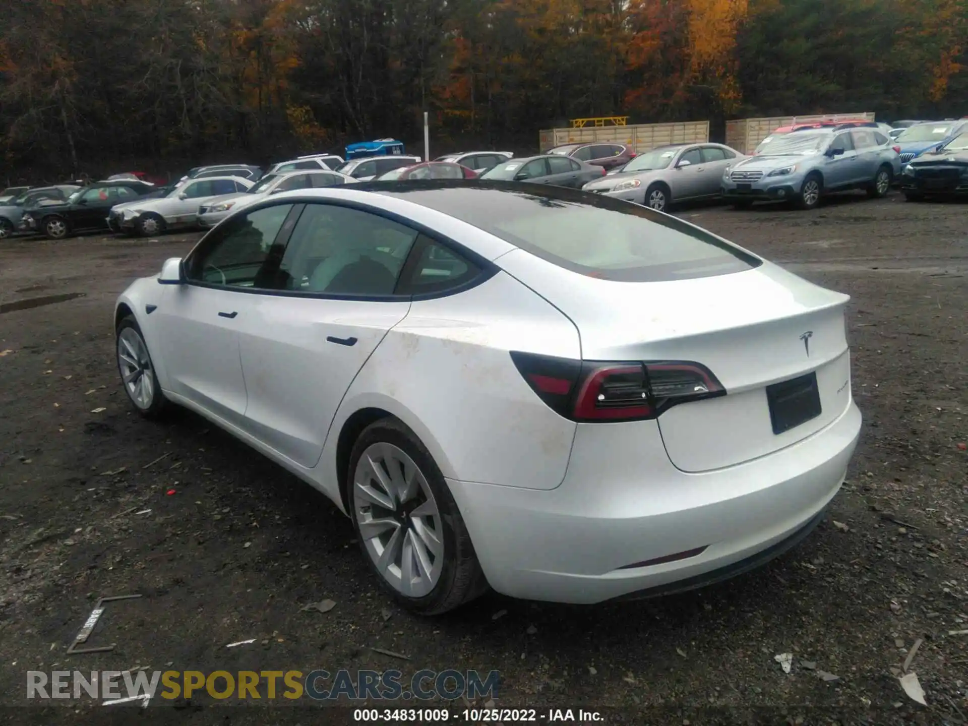 3 Photograph of a damaged car 5YJ3E1EB5MF980847 TESLA MODEL 3 2021
