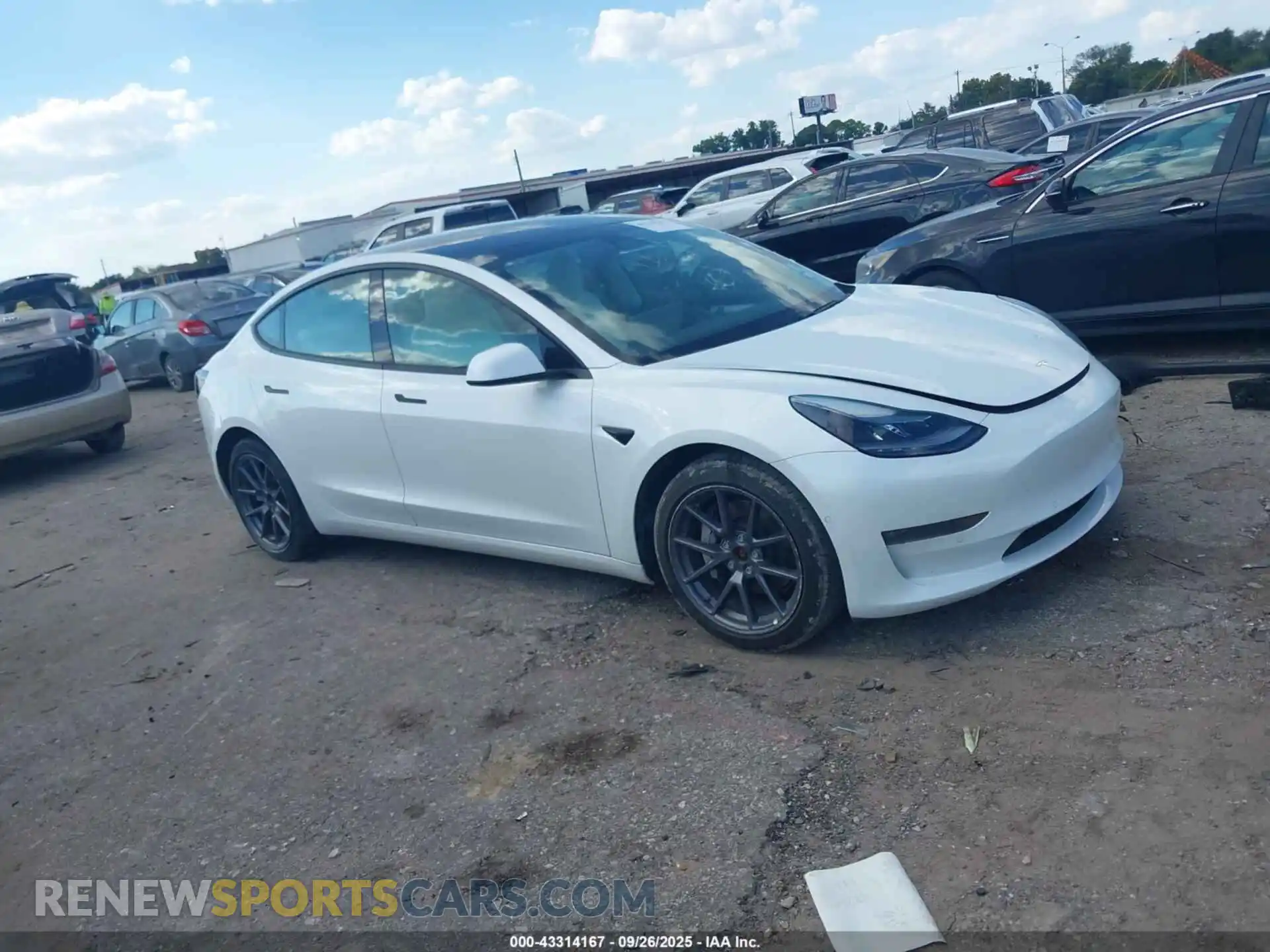 1 Photograph of a damaged car 5YJ3E1EB5MF993033 TESLA MODEL 3 2021