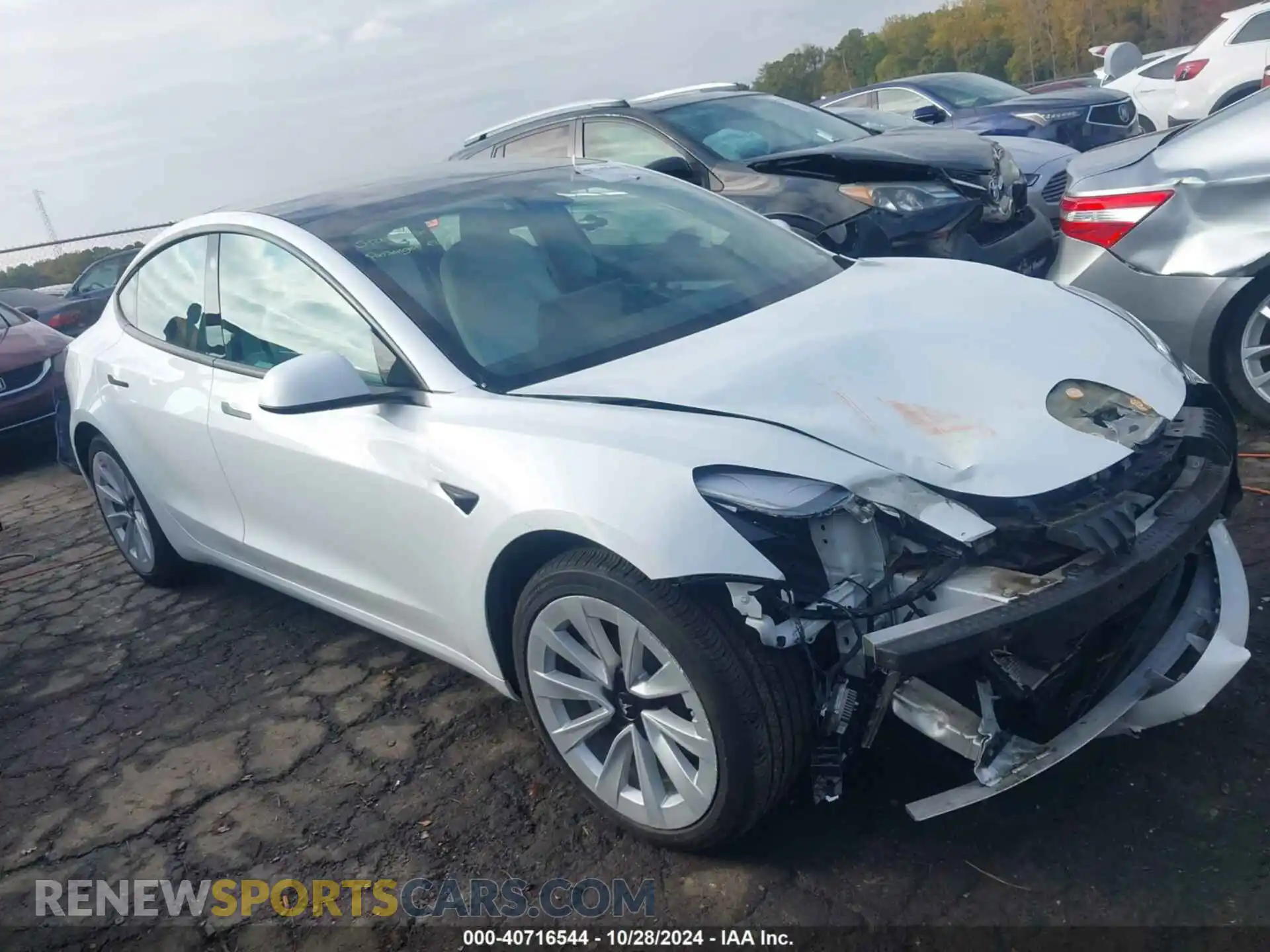 1 Photograph of a damaged car 5YJ3E1EB6MF061231 TESLA MODEL 3 2021