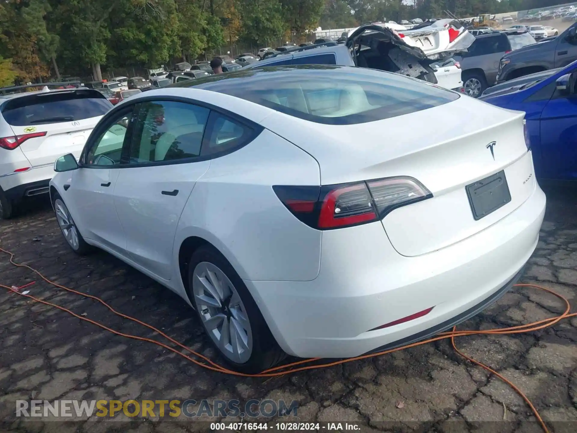 3 Photograph of a damaged car 5YJ3E1EB6MF061231 TESLA MODEL 3 2021