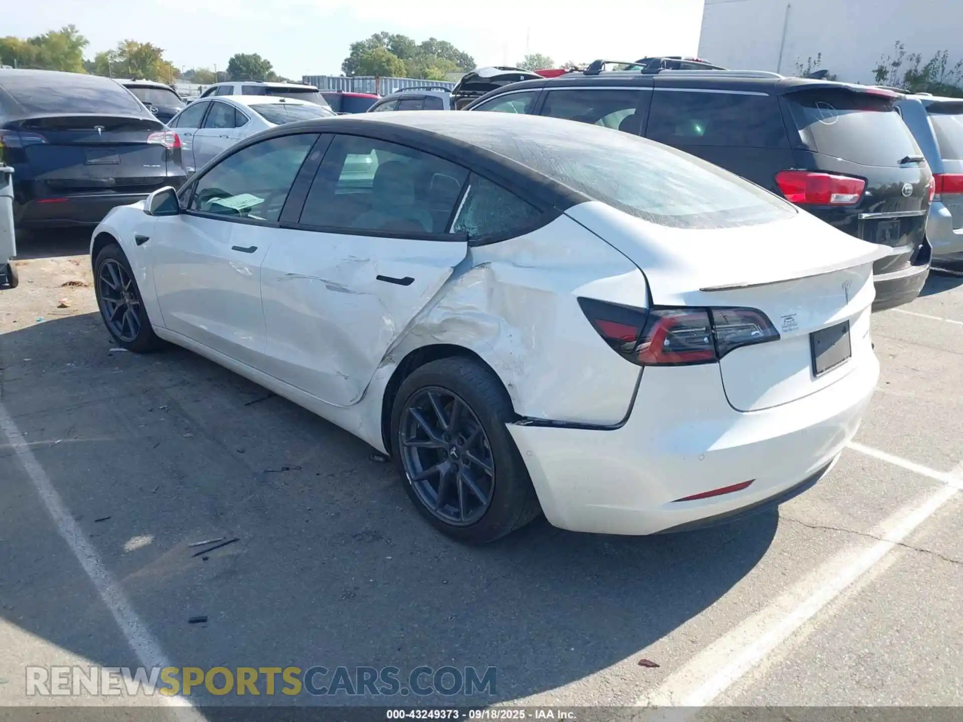 3 Photograph of a damaged car 5YJ3E1EB7MF981367 TESLA MODEL 3 2021