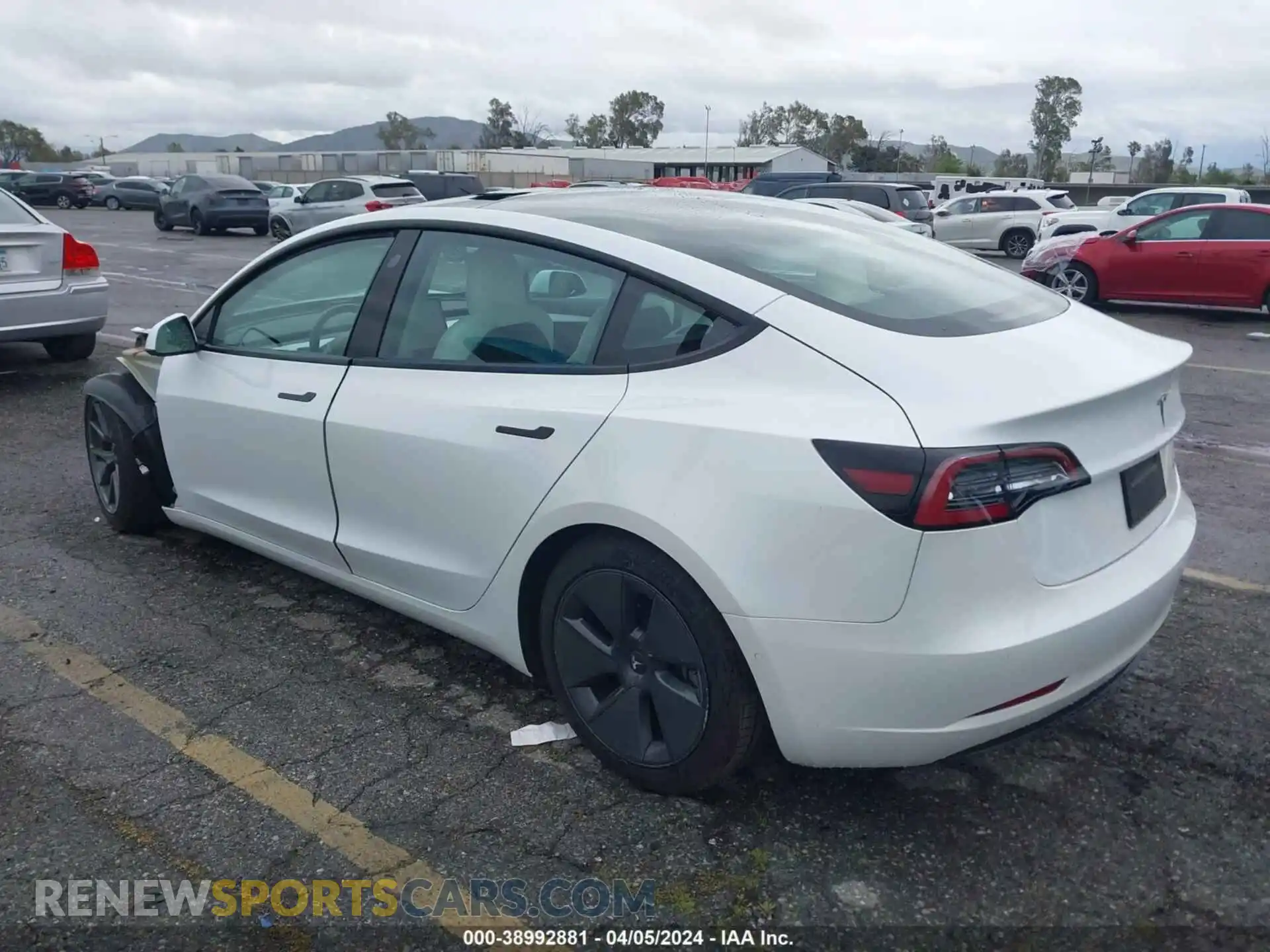 3 Photograph of a damaged car 5YJ3E1EB9MF091999 TESLA MODEL 3 2021