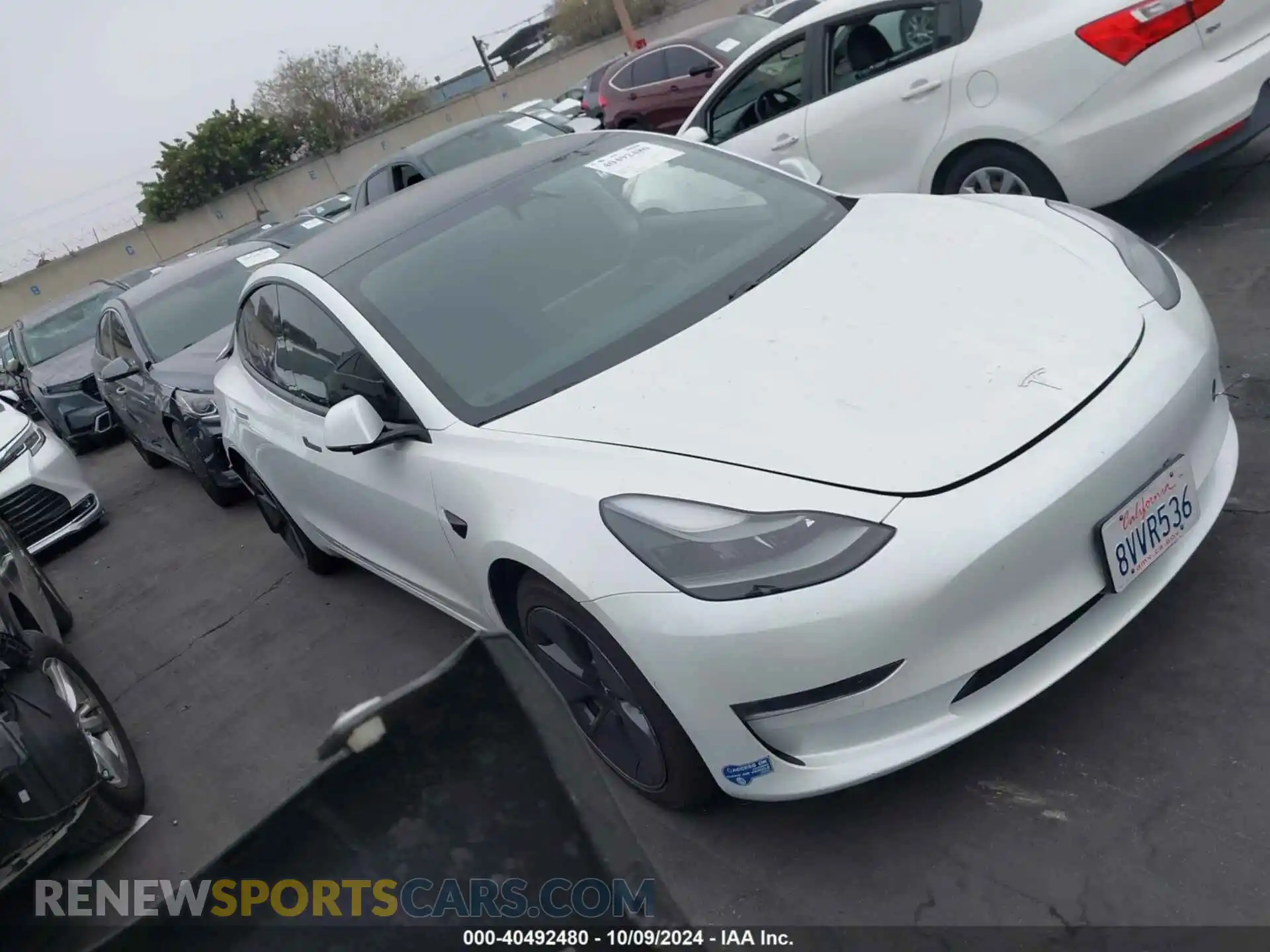 1 Photograph of a damaged car 5YJ3E1EB9MF939038 TESLA MODEL 3 2021