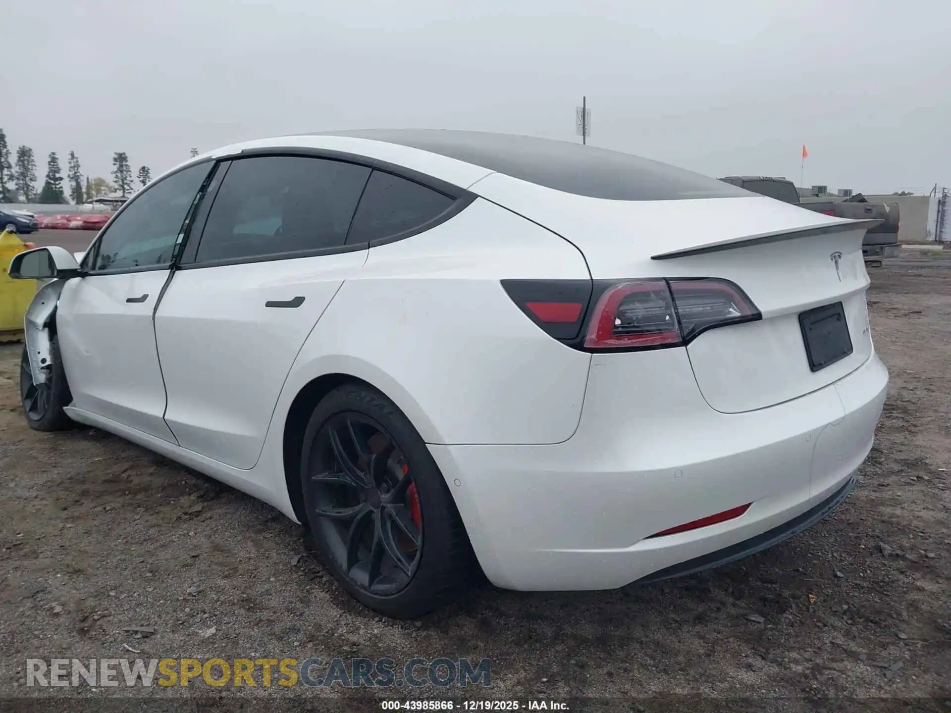 3 Photograph of a damaged car 5YJ3E1EC8MF055455 TESLA MODEL 3 2021