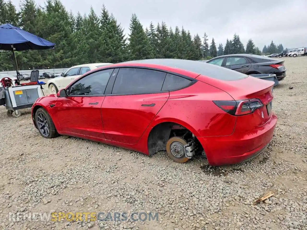 2 Photograph of a damaged car 5YJ3E1EA0NF186220 TESLA MODEL 3 2022