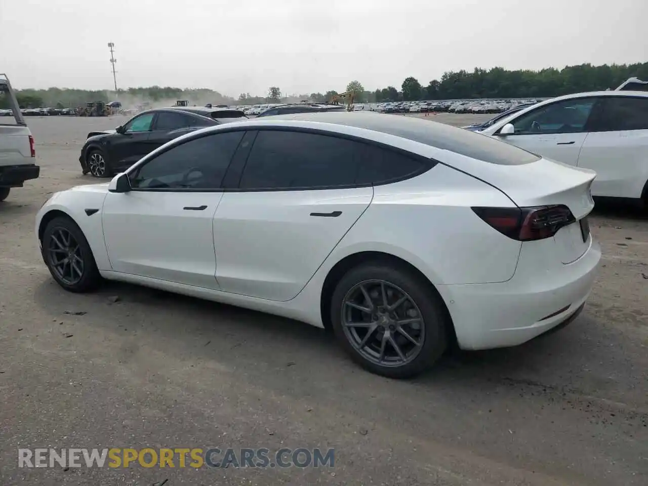 2 fotografías del automóvil dañado 5YJ3E1EA7NF125978 TESLA MODEL 3 2022