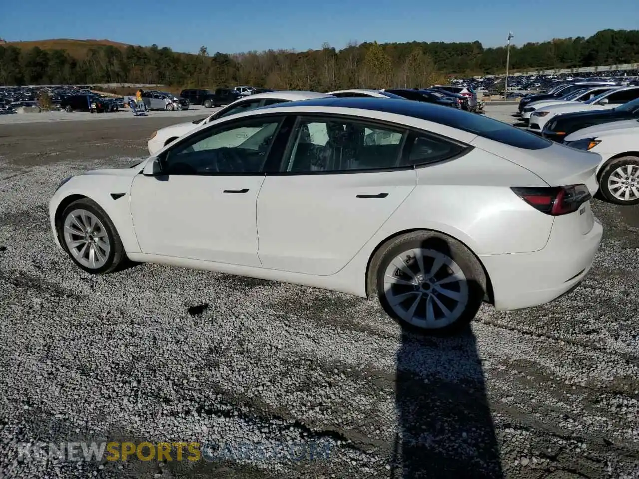2 Photograph of a damaged car 5YJ3E1EB0NF192527 TESLA MODEL 3 2022