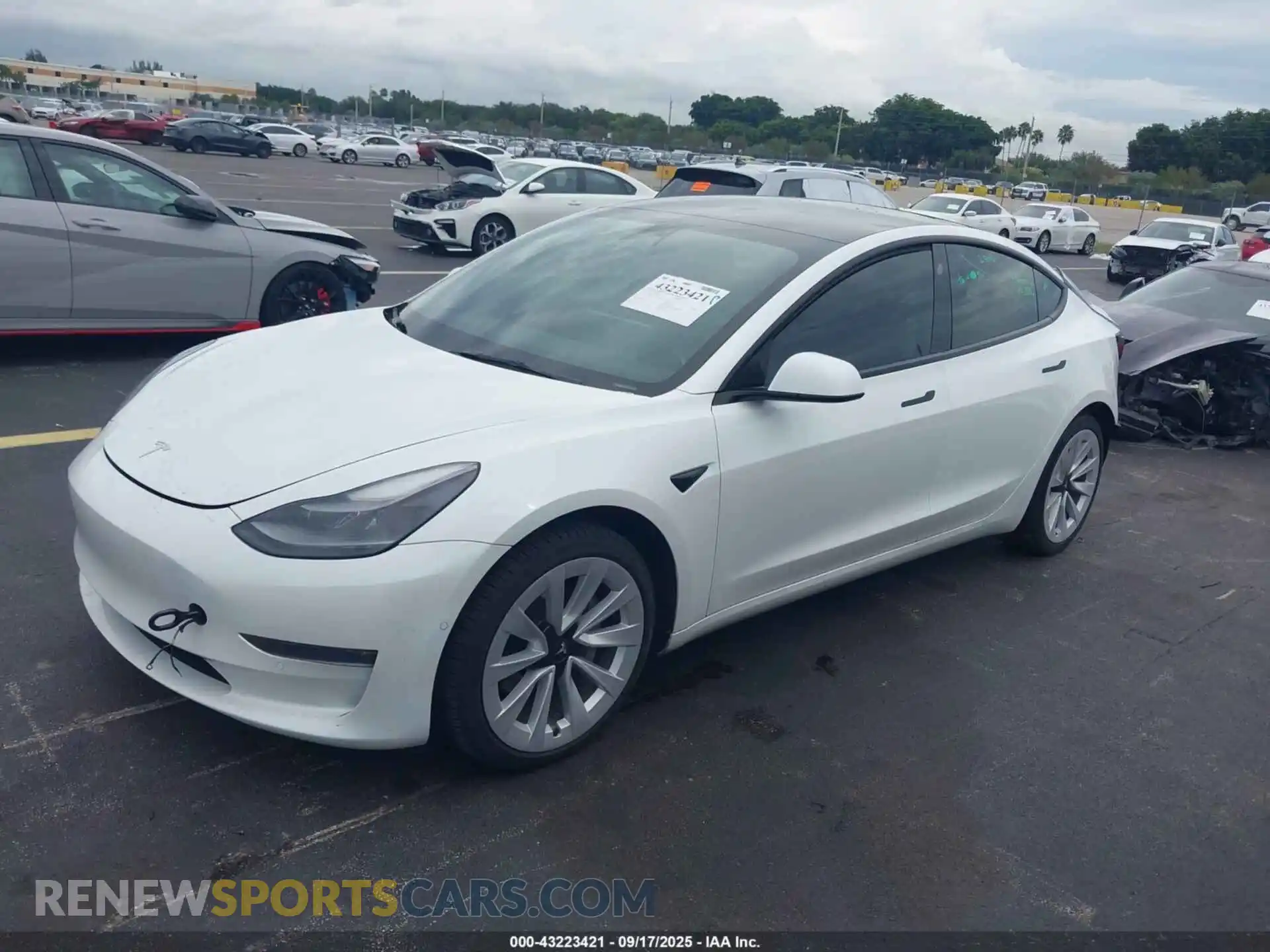2 Photograph of a damaged car 5YJ3E1EB1NF265453 TESLA MODEL 3 2022