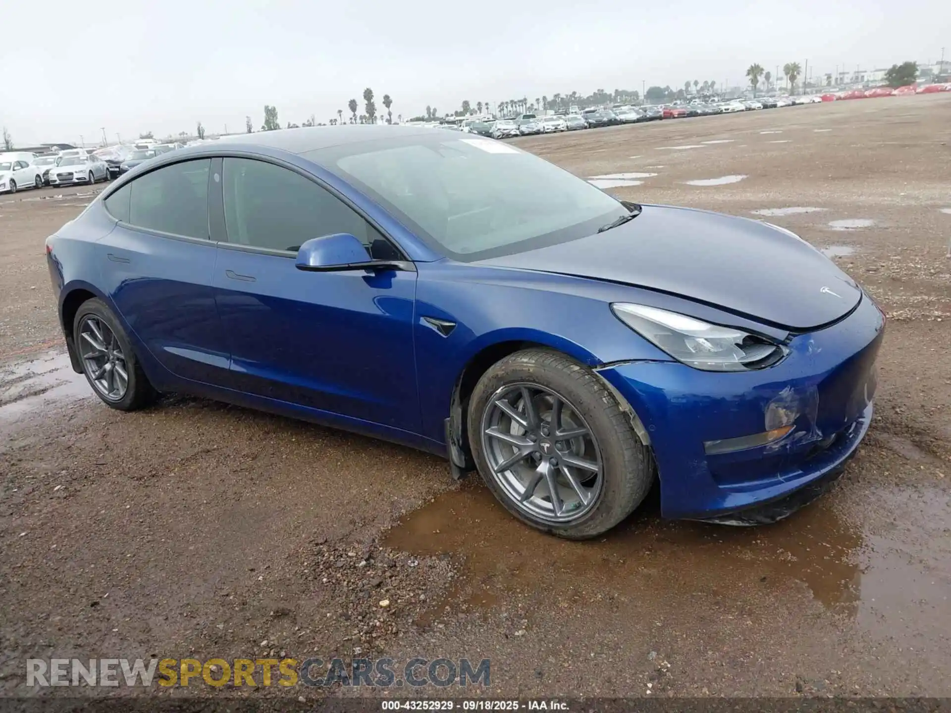 1 Photograph of a damaged car 5YJ3E1EB1NF267512 TESLA MODEL 3 2022