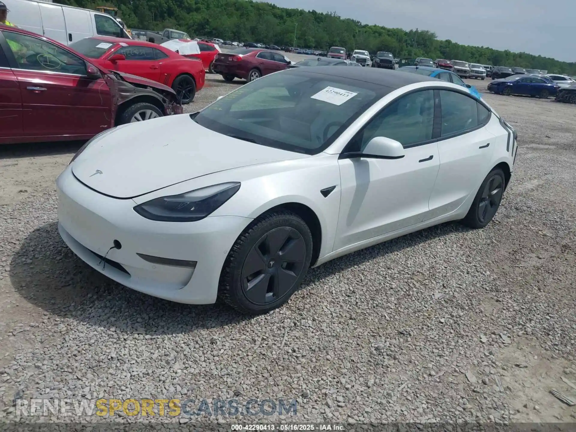 2 fotografías del automóvil dañado 5YJ3E1EB4NF165427 TESLA MODEL 3 2022