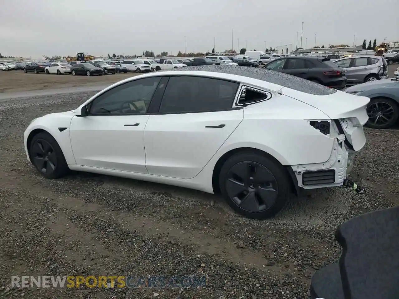2 Photograph of a damaged car 5YJ3E1EA0PF459174 TESLA MODEL 3 2023