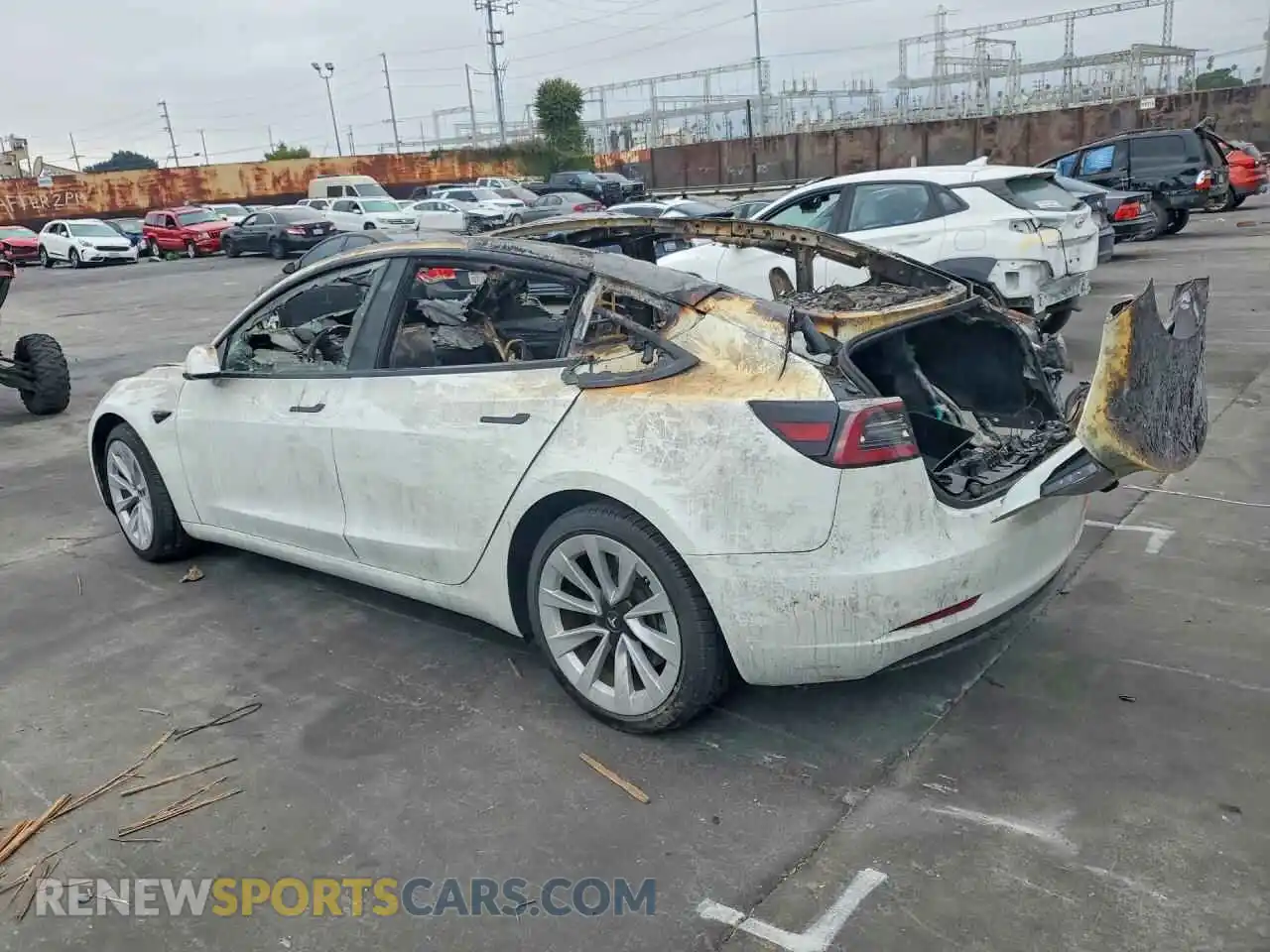 2 Photograph of a damaged car 5YJ3E1EA0PF459787 TESLA MODEL 3 2023