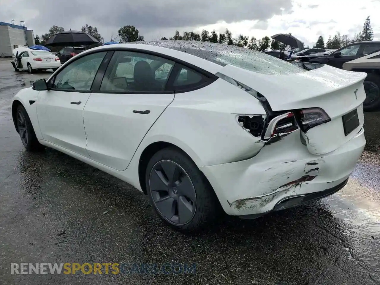 2 Photograph of a damaged car 5YJ3E1EA0PF556715 TESLA MODEL 3 2023