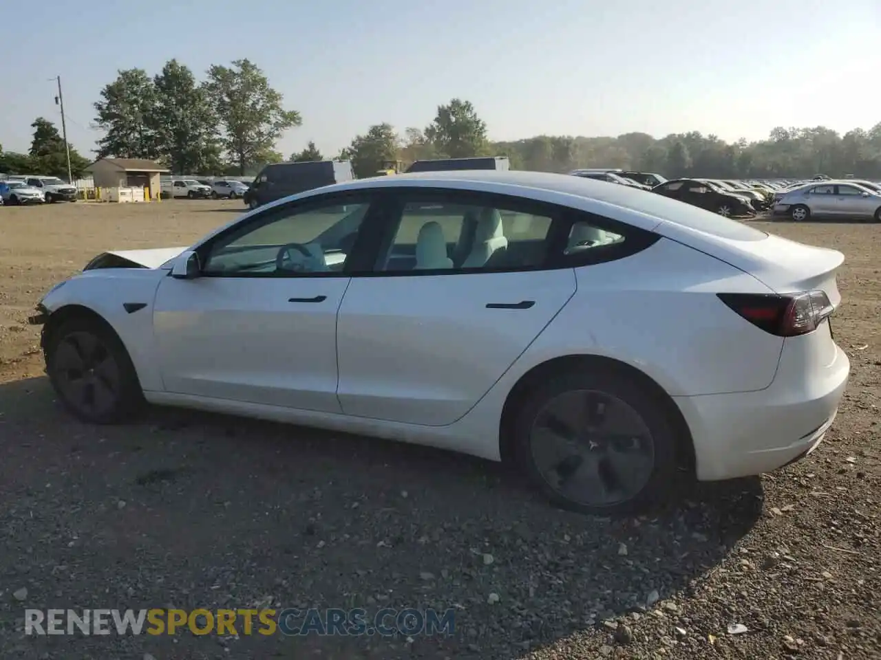 2 Photograph of a damaged car 5YJ3E1EA1PF564693 TESLA MODEL 3 2023