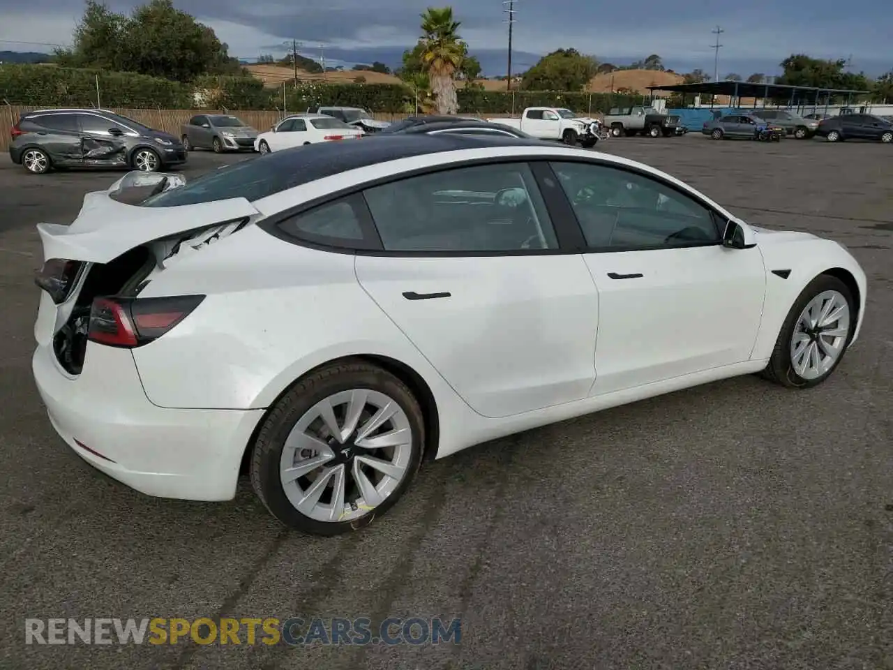 3 Photograph of a damaged car 5YJ3E1EA2PF541374 TESLA MODEL 3 2023