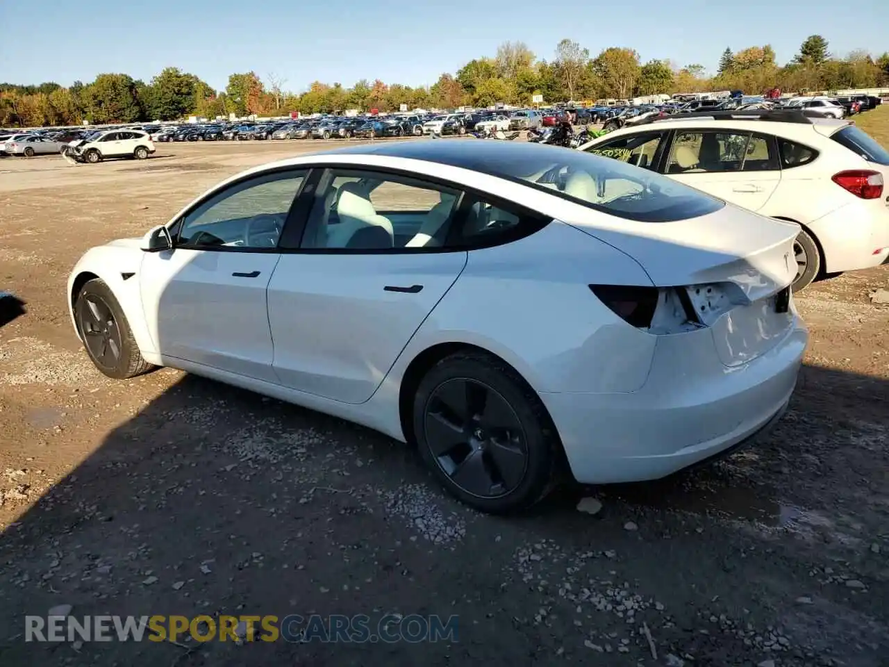 2 Photograph of a damaged car 5YJ3E1EA2PF642186 TESLA MODEL 3 2023