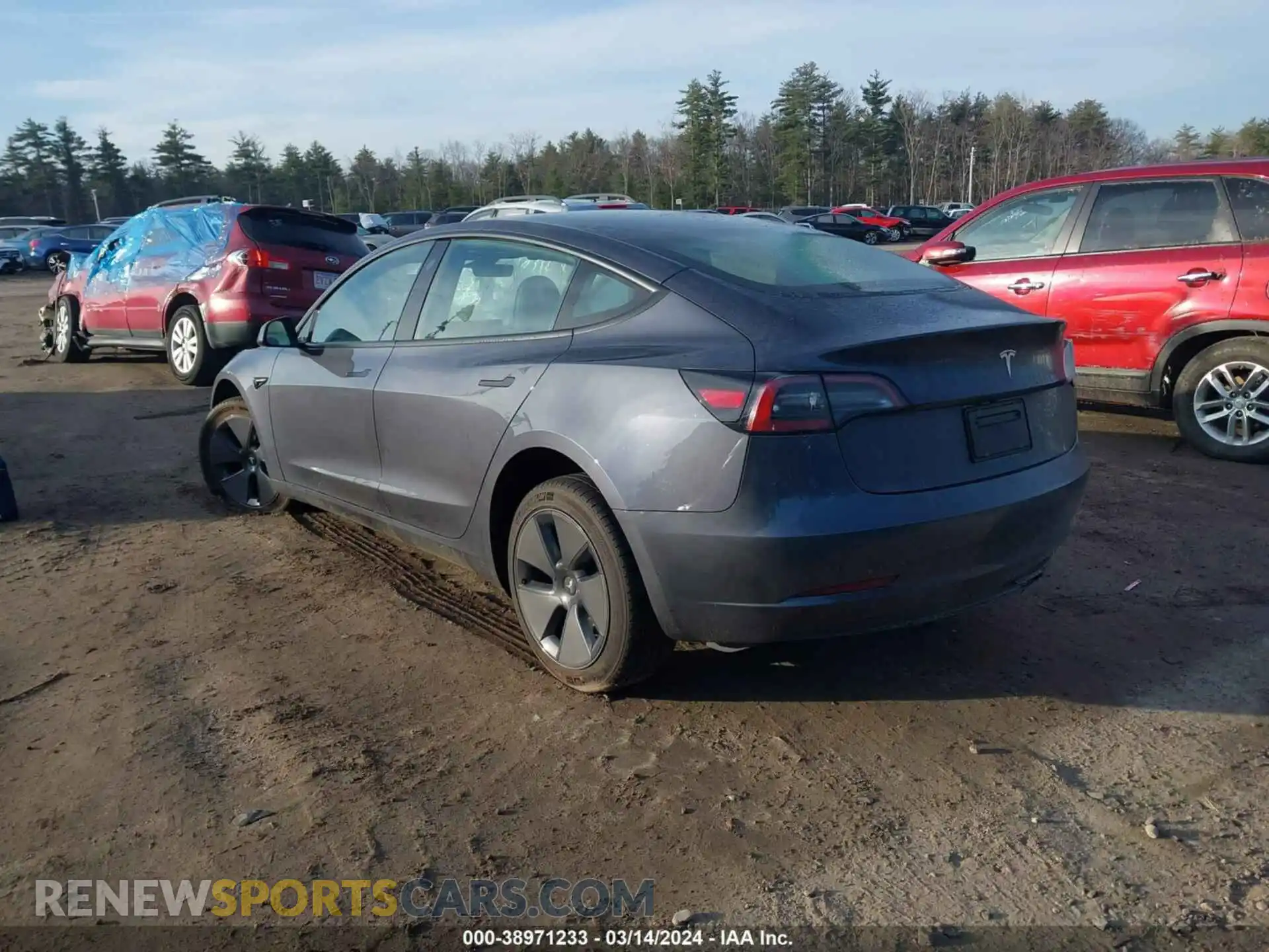 3 Photograph of a damaged car 5YJ3E1EA2PF684034 TESLA MODEL 3 2023