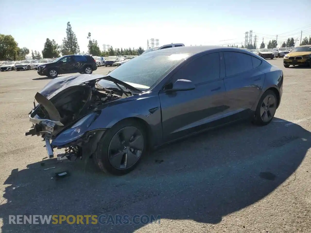 1 Фотография поврежденного автомобиля 5YJ3E1EA3PF438075 TESLA MODEL 3 2023