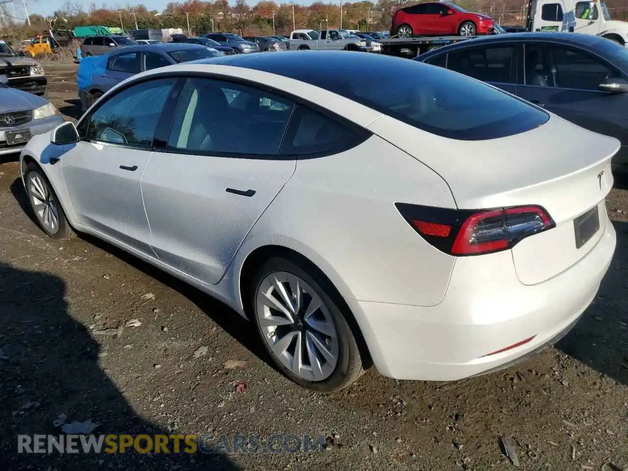 2 Photograph of a damaged car 5YJ3E1EA3PF450677 TESLA MODEL 3 2023