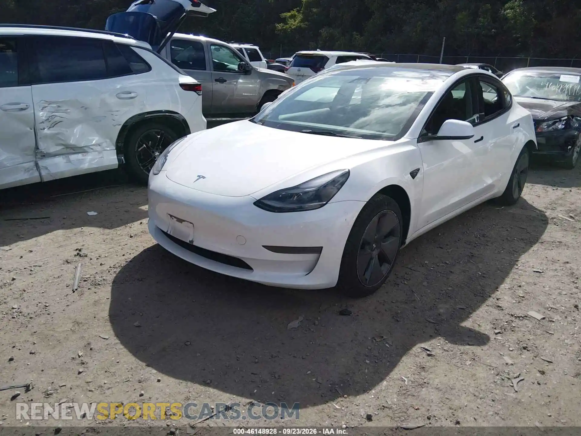 2 Photograph of a damaged car 5YJ3E1EA3PF504172 TESLA MODEL 3 2023