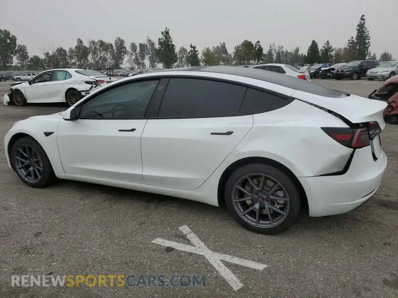 2 Photograph of a damaged car 5YJ3E1EA3PF572763 TESLA MODEL 3 2023