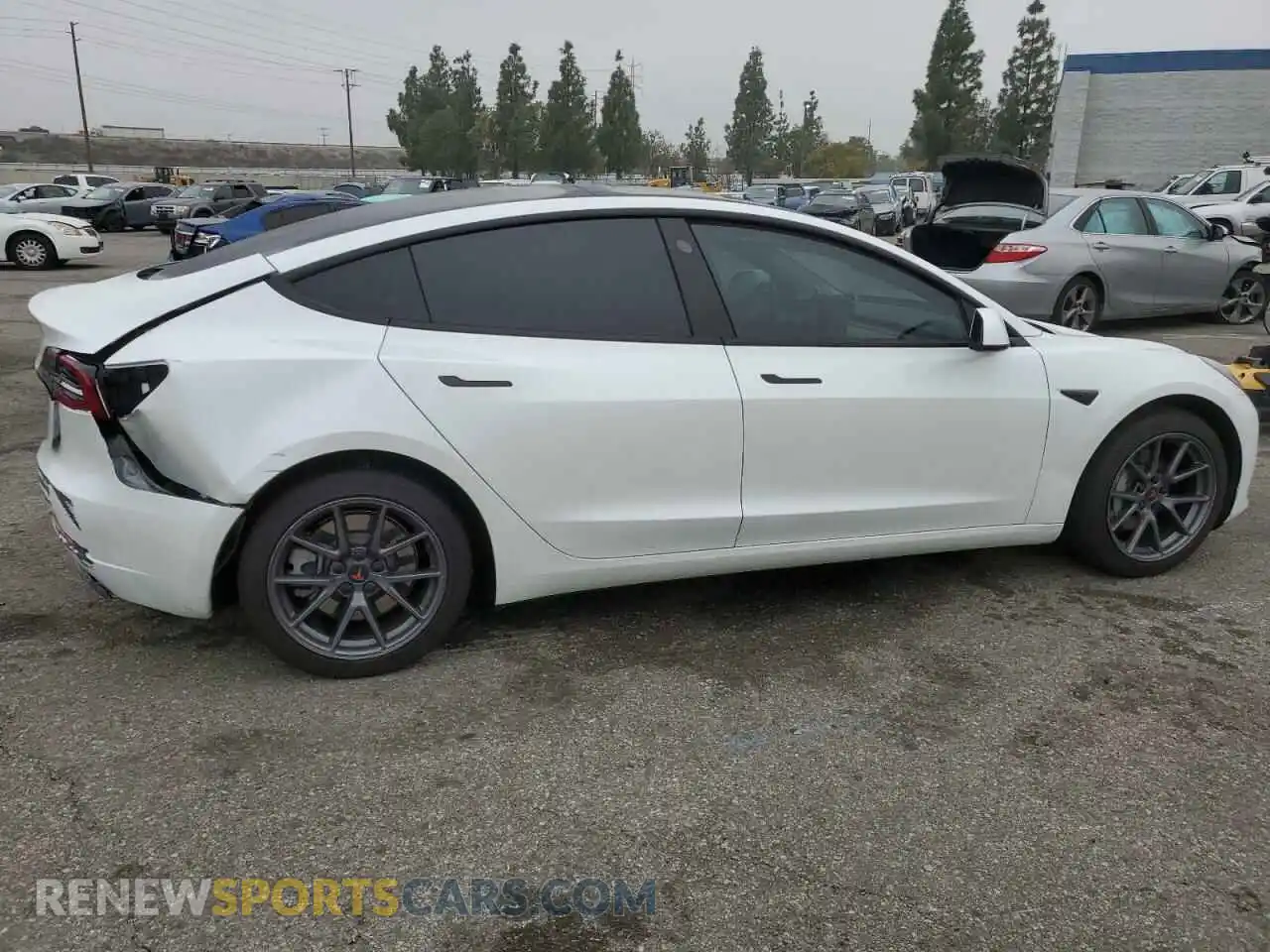 3 Photograph of a damaged car 5YJ3E1EA3PF572763 TESLA MODEL 3 2023