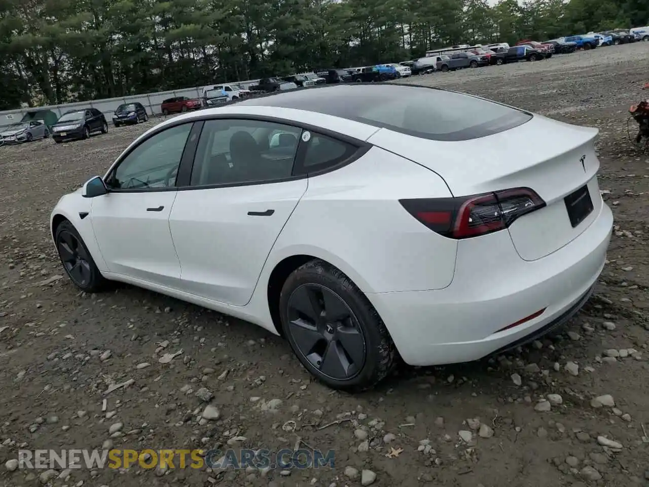 2 Photograph of a damaged car 5YJ3E1EA3PF574626 TESLA MODEL 3 2023