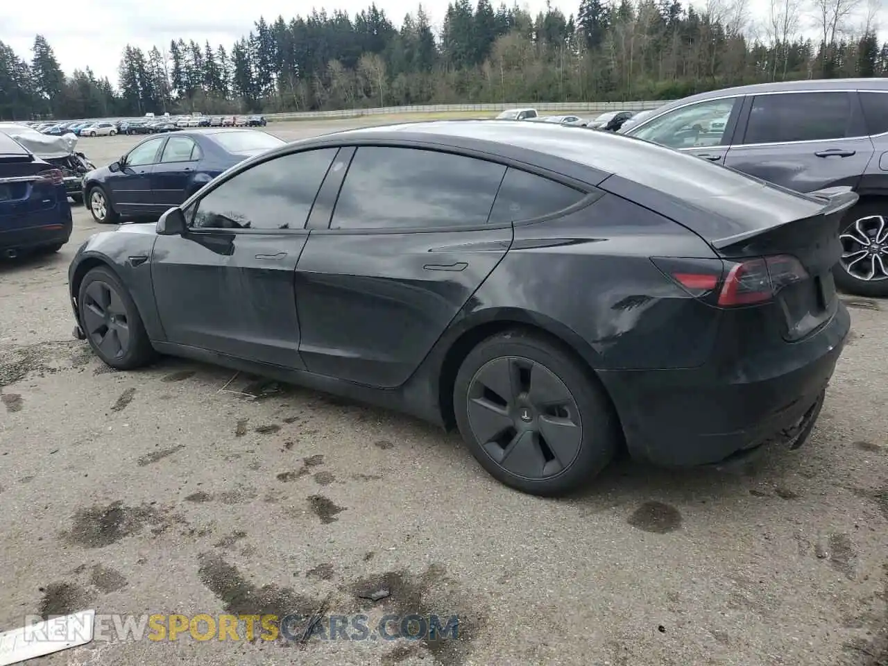 2 Photograph of a damaged car 5YJ3E1EA3PF644898 TESLA MODEL 3 2023