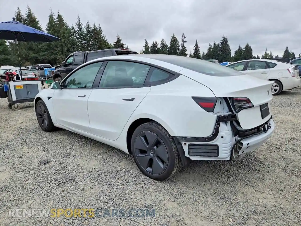 2 fotografías del automóvil dañado 5YJ3E1EA4PF542333 TESLA MODEL 3 2023