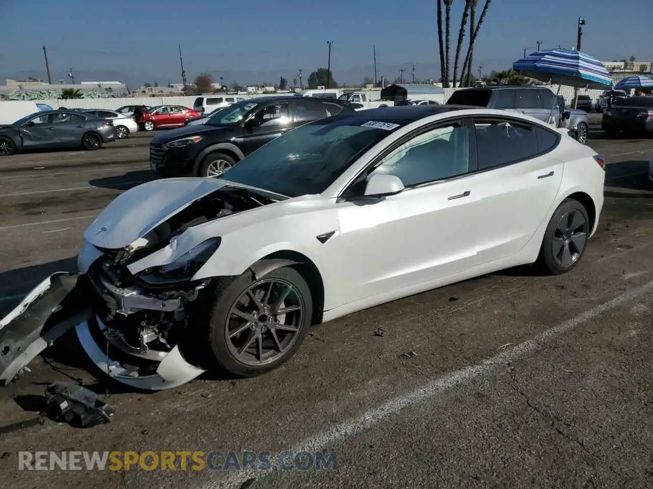 1 fotografías del automóvil dañado 5YJ3E1EA5PF398078 TESLA MODEL 3 2023
