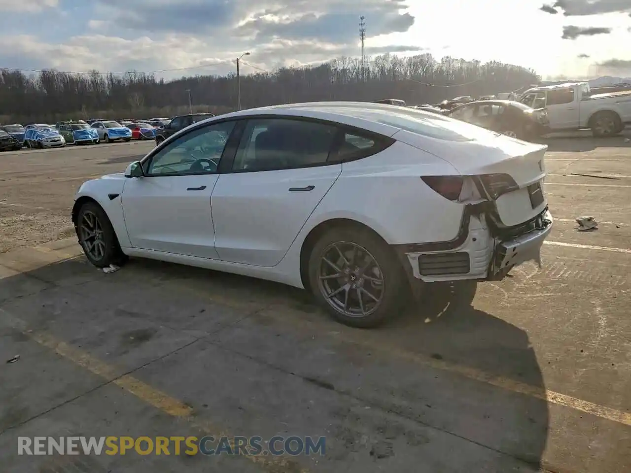 2 Photograph of a damaged car 5YJ3E1EA5PF430995 TESLA MODEL 3 2023