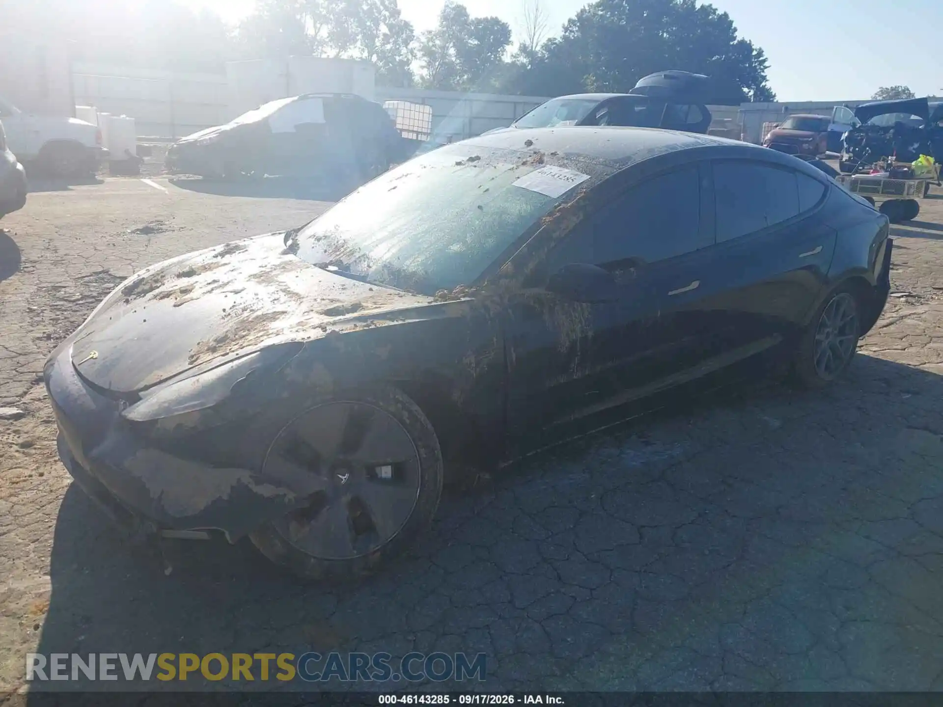 2 Photograph of a damaged car 5YJ3E1EA5PF570867 TESLA MODEL 3 2023