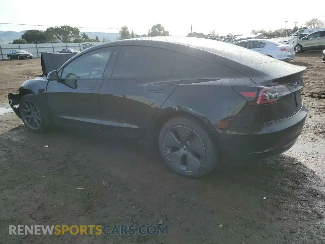 2 Photograph of a damaged car 5YJ3E1EA5PF695044 TESLA MODEL 3 2023