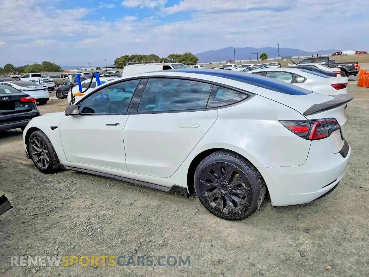 2 Photograph of a damaged car 5YJ3E1EA6PF565211 TESLA MODEL 3 2023