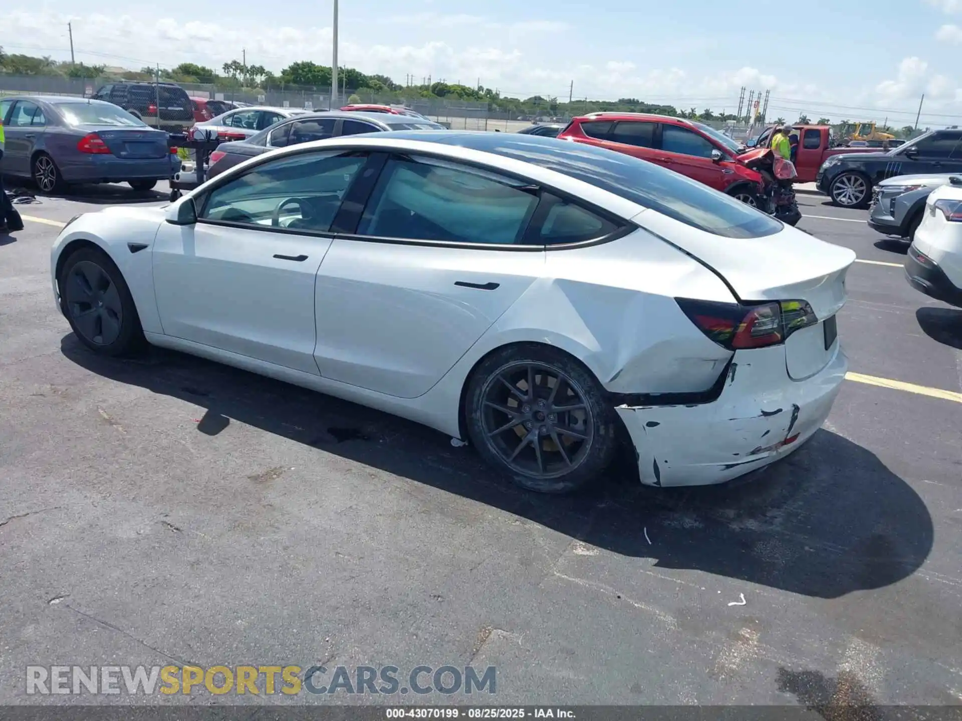 3 Photograph of a damaged car 5YJ3E1EA6PF618134 TESLA MODEL 3 2023