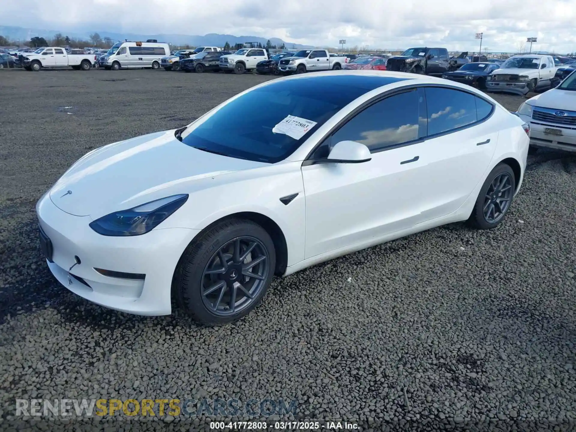 2 Photograph of a damaged car 5YJ3E1EA7PF570871 TESLA MODEL 3 2023