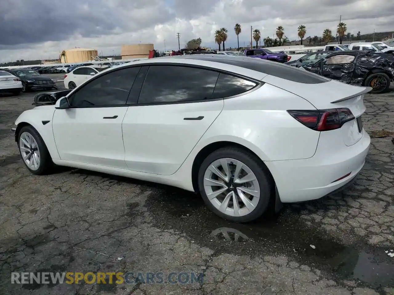 2 fotografías del automóvil dañado 5YJ3E1EA9PF582536 TESLA MODEL 3 2023