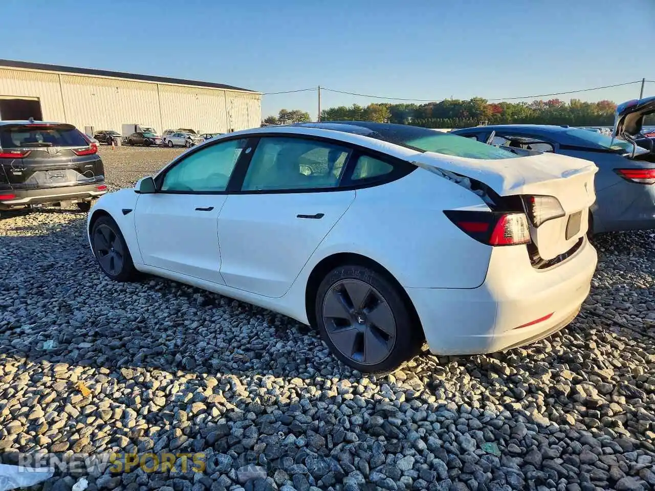 2 Фотография поврежденного автомобиля 5YJ3E1EAXPF396214 TESLA MODEL 3 2023