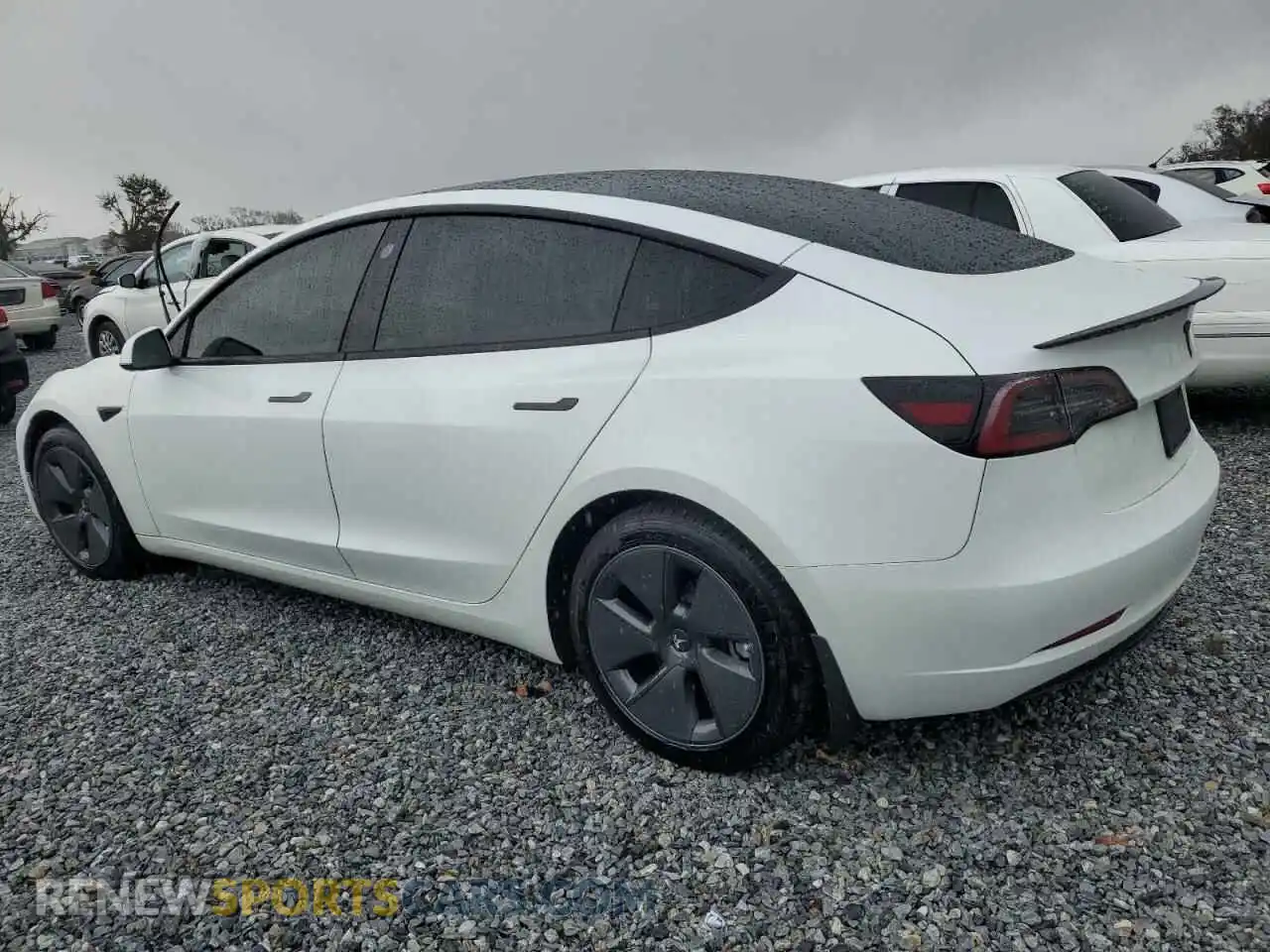 2 Photograph of a damaged car 5YJ3E1EAXPF562196 TESLA MODEL 3 2023